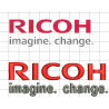 Ponchado logo RICOH para bordar en Printernet