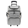 HIELERA TROLLEY OLWEN - vista 2
