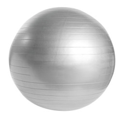 PELOTA DE PILATES WELLNESS | Printernet