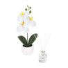 SET DECORATIVO FIORA BLANCO | Printernet
