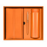 SET BIRKIN - vista 12