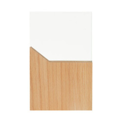 RECONOCIMIENTO LYNOR - vista 4