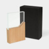 RECONOCIMIENTO LYNOR - vista 7