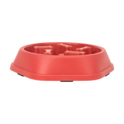 PLATO OSSIS - vista 2