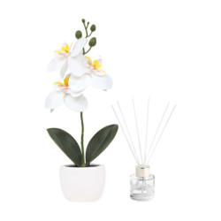 SET DECORATIVO FIORA - vista 2