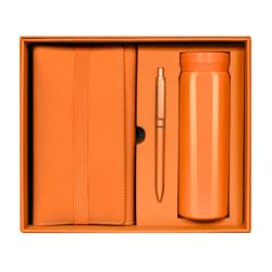 SET BIRKIN - vista 12